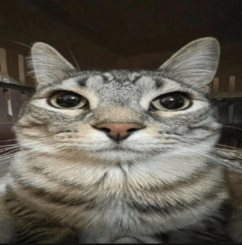talkima